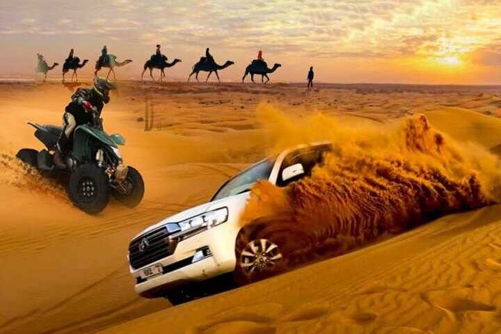 Elite Desert Safari Tour image