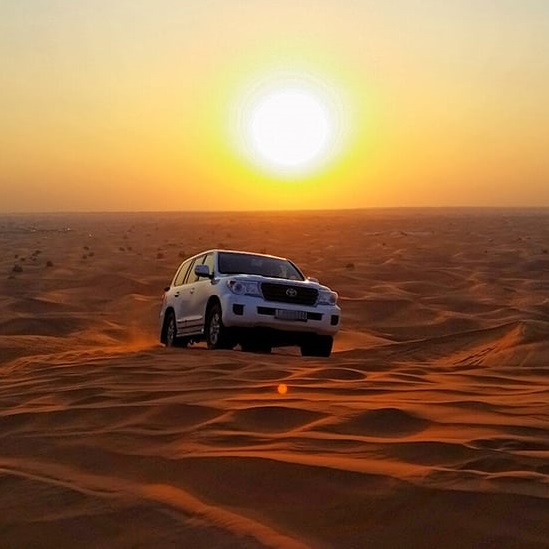 Golden Morning