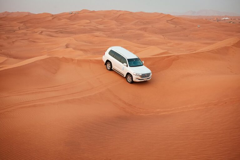 Golden Morning Desert Tour image