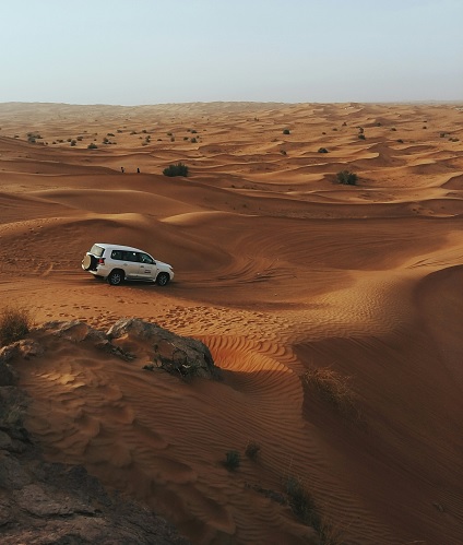 Safari Evd